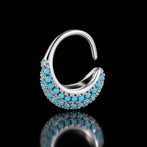 Circle Zirconia Hoop Earring
