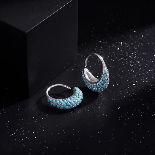 Circle Zirconia Hoop Earring