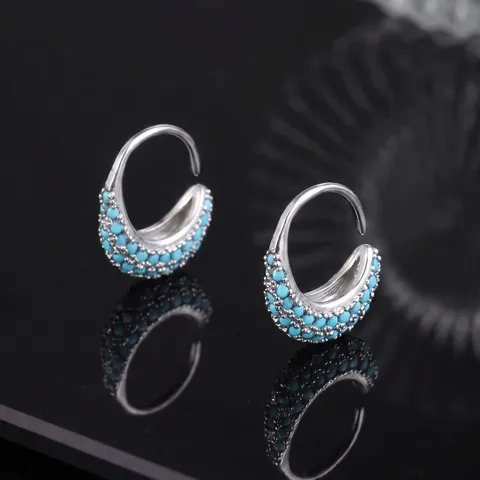 Circle Zirconia Hoop Earring